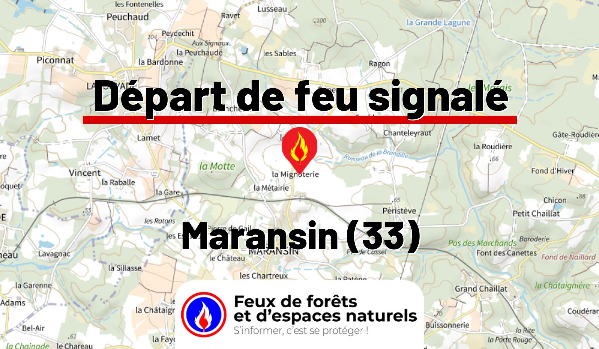 Maransin (33)