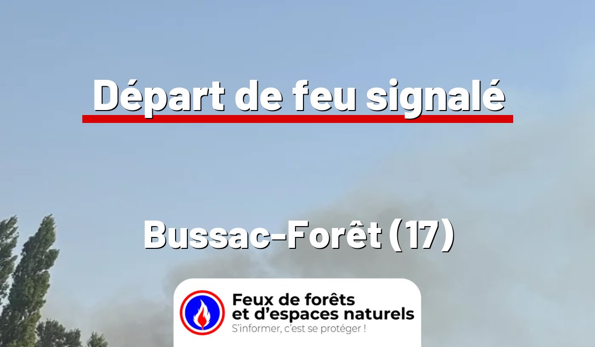 Bussac-Forêt (17)