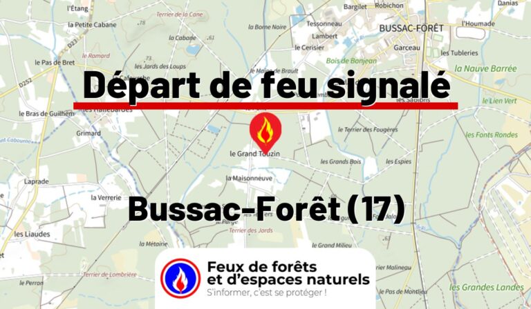 Bussac-Forêt (17)