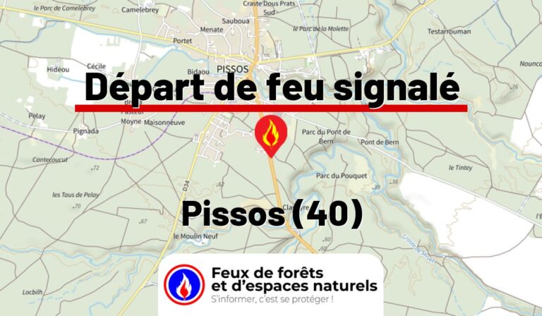 Pissos (40)