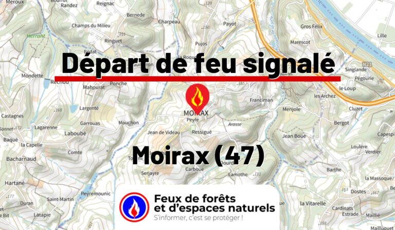 Moirax (47)
