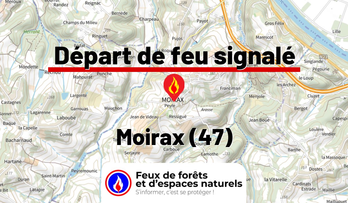 Moirax (47)