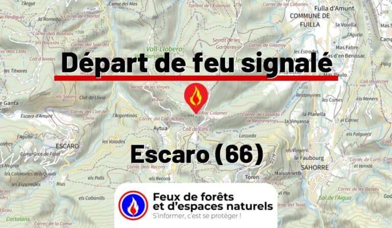 Escaro (66)