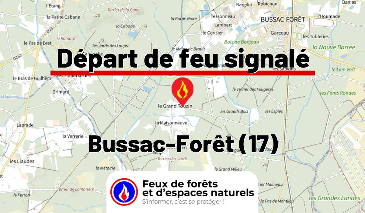 Bussac-Forêt (17)