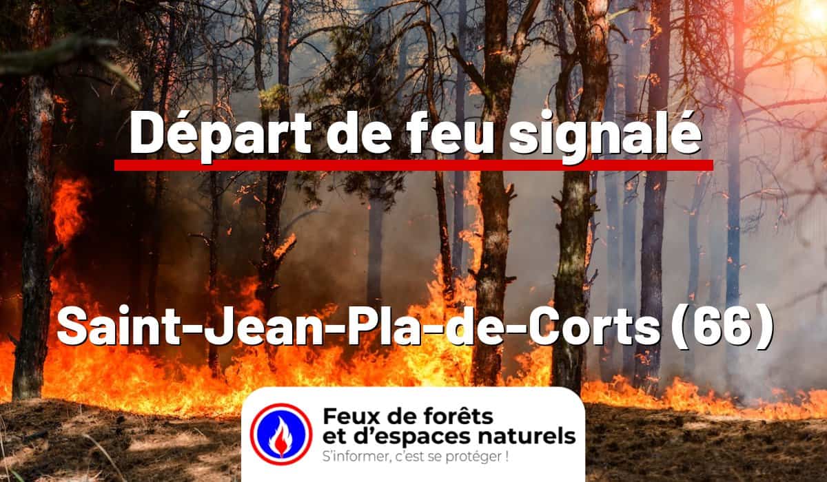 Saint-Jean-Pla-de-Corts (66)