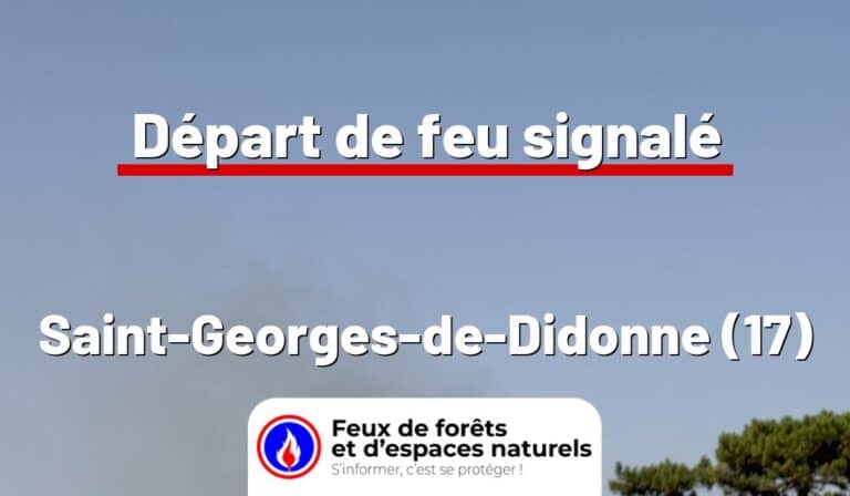 Saint-Georges-de-Didonne (17)