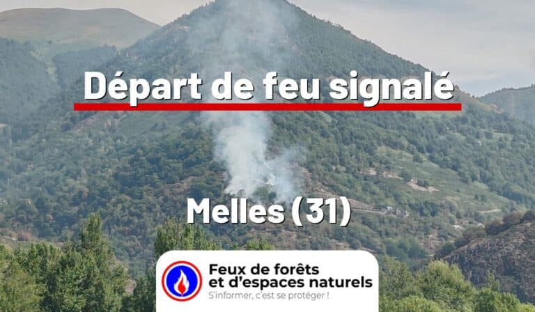 Melles (31)