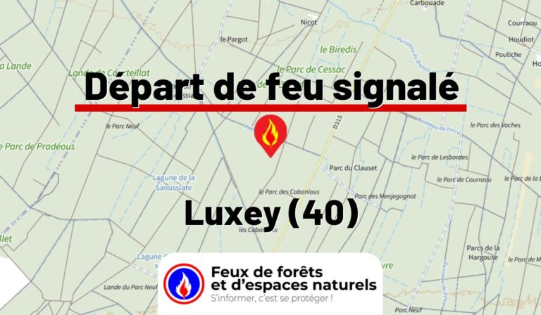 Luxey (40)