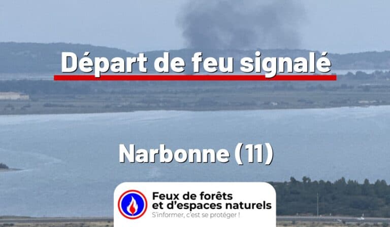 Narbonne (11)