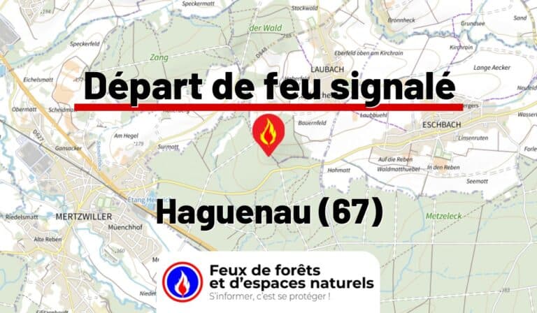 Haguenau (67)