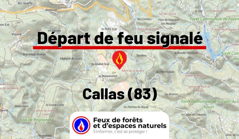 Callas (83)