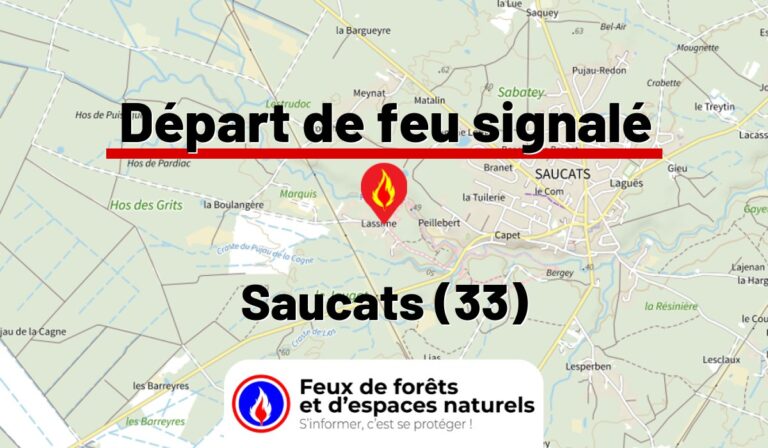 Saucats (33)