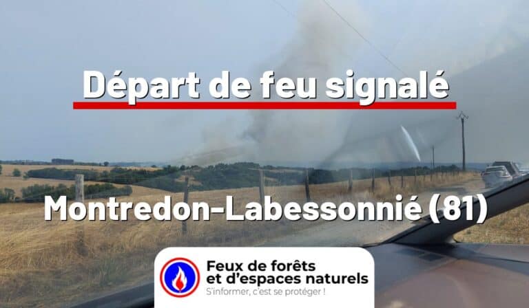 Montredon-Labessonnié (81)