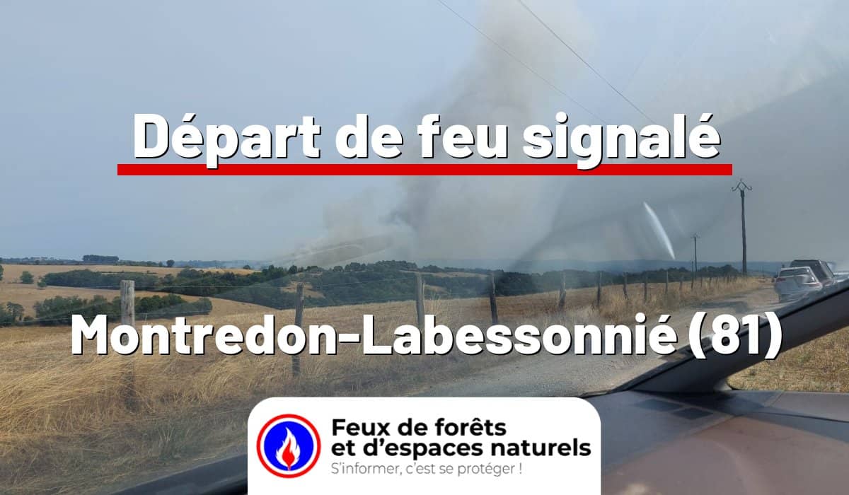 Montredon-Labessonnié (81)