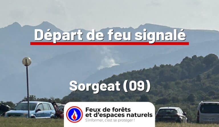 Sorgeat (09)