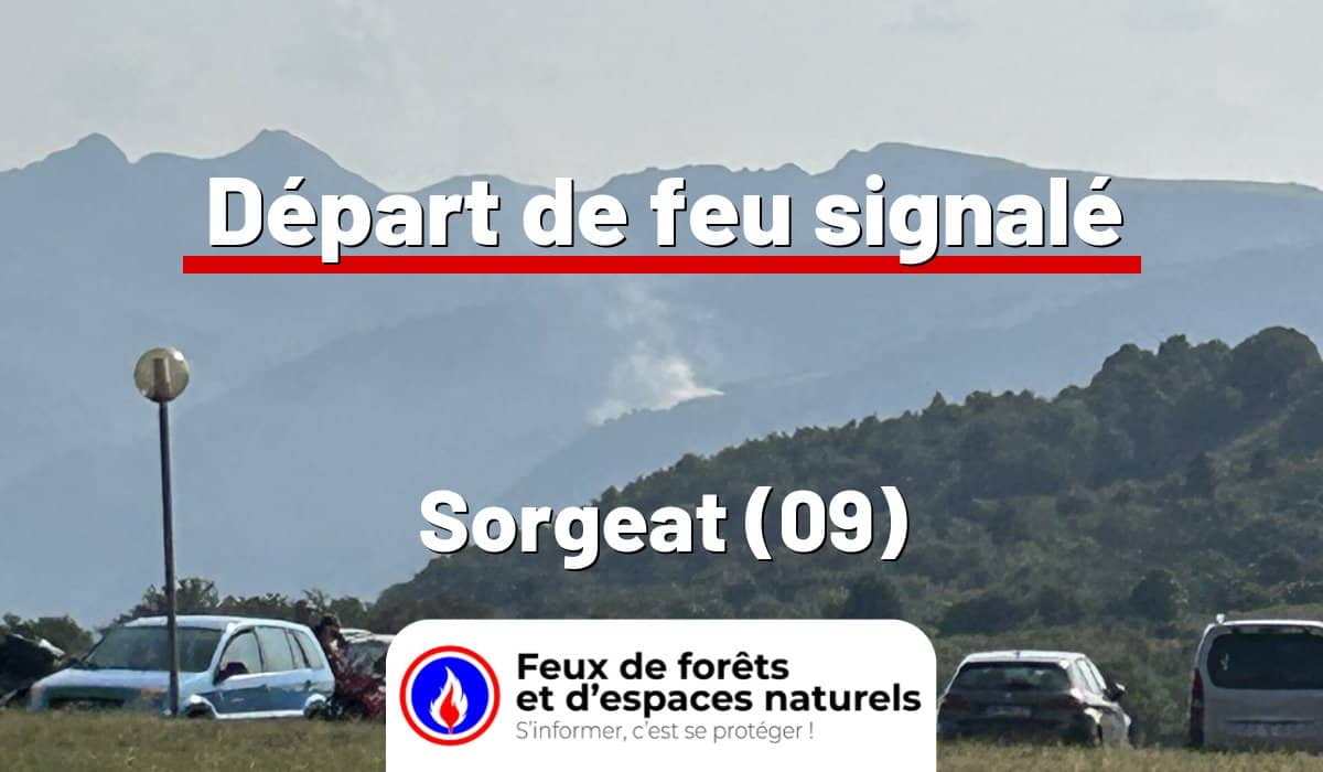 Sorgeat (09)