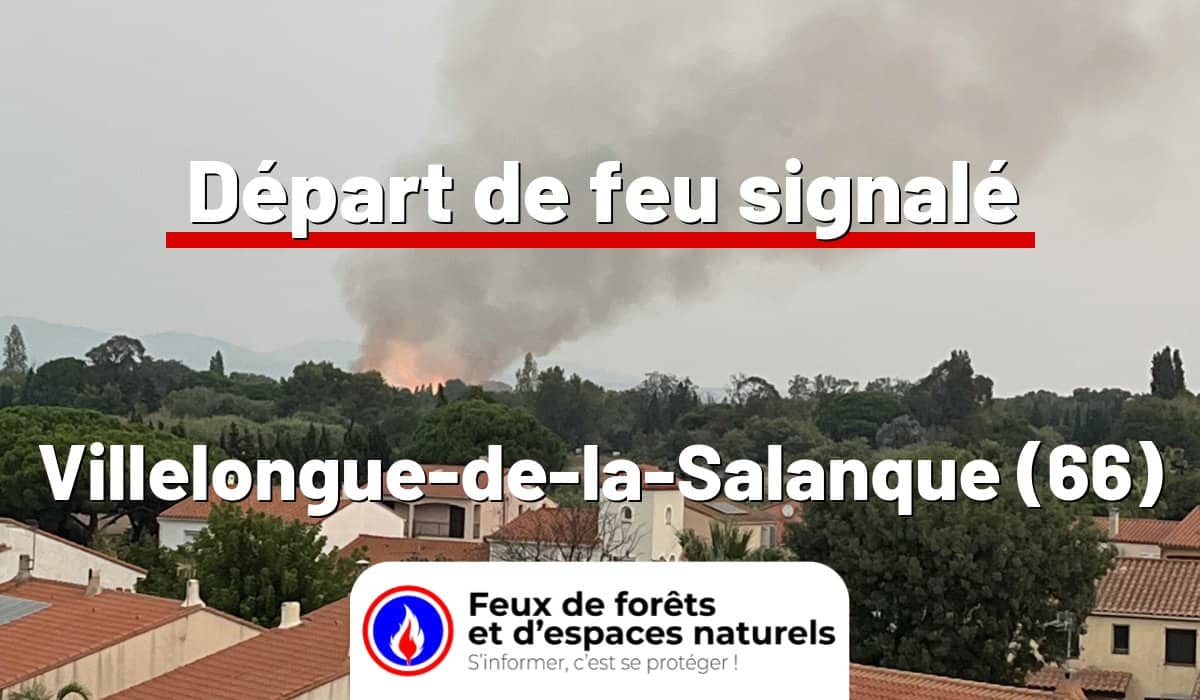 Villelongue-de-la-Salanque (66)