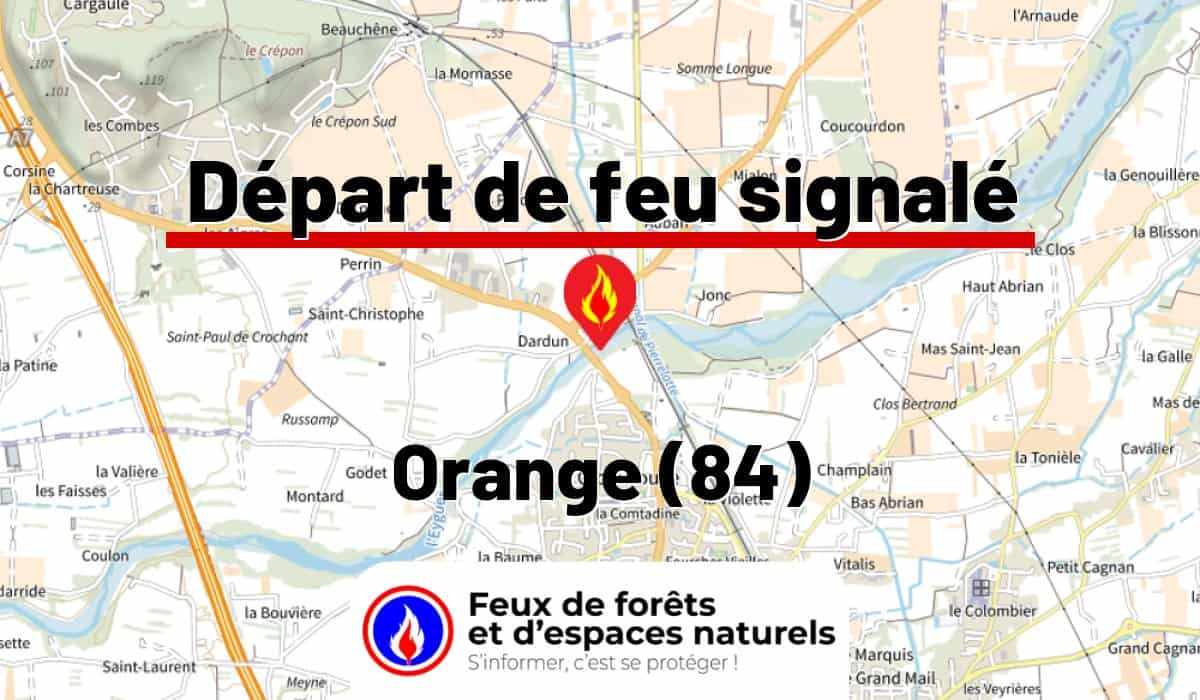 Orange (84)