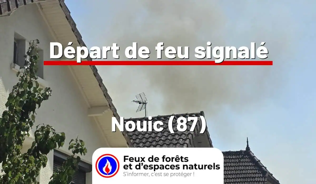Nouic (87)