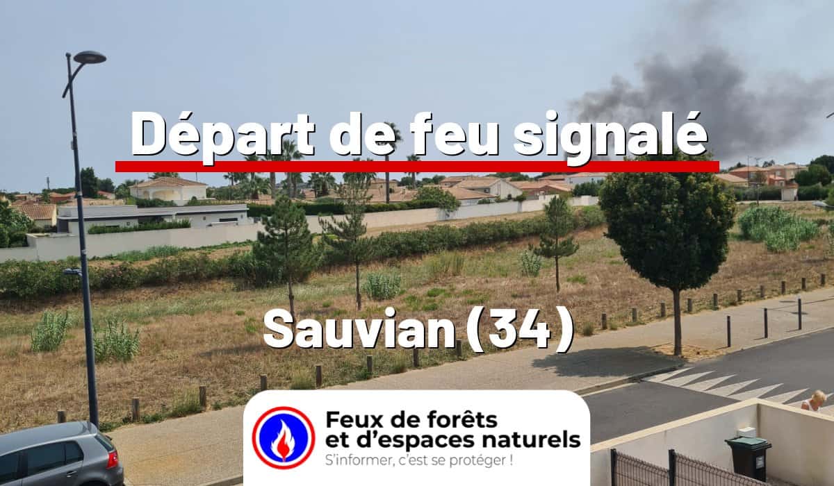 Sauvian (34)