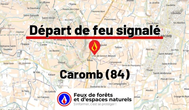Caromb (84)