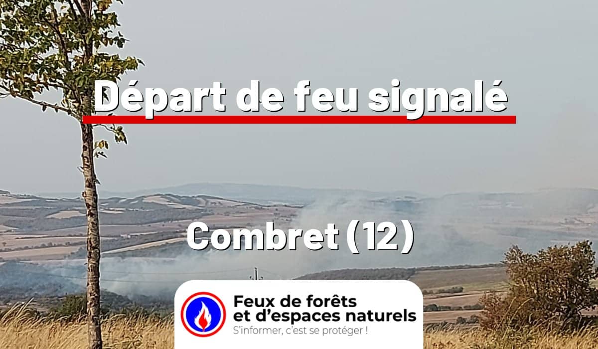 Combret (12)