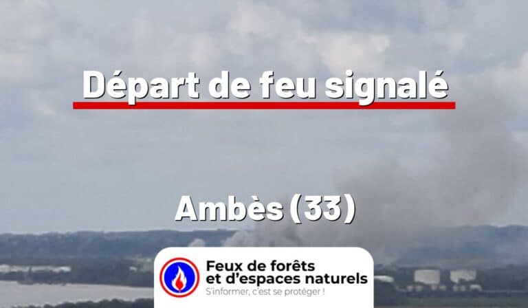 Ambès (33)