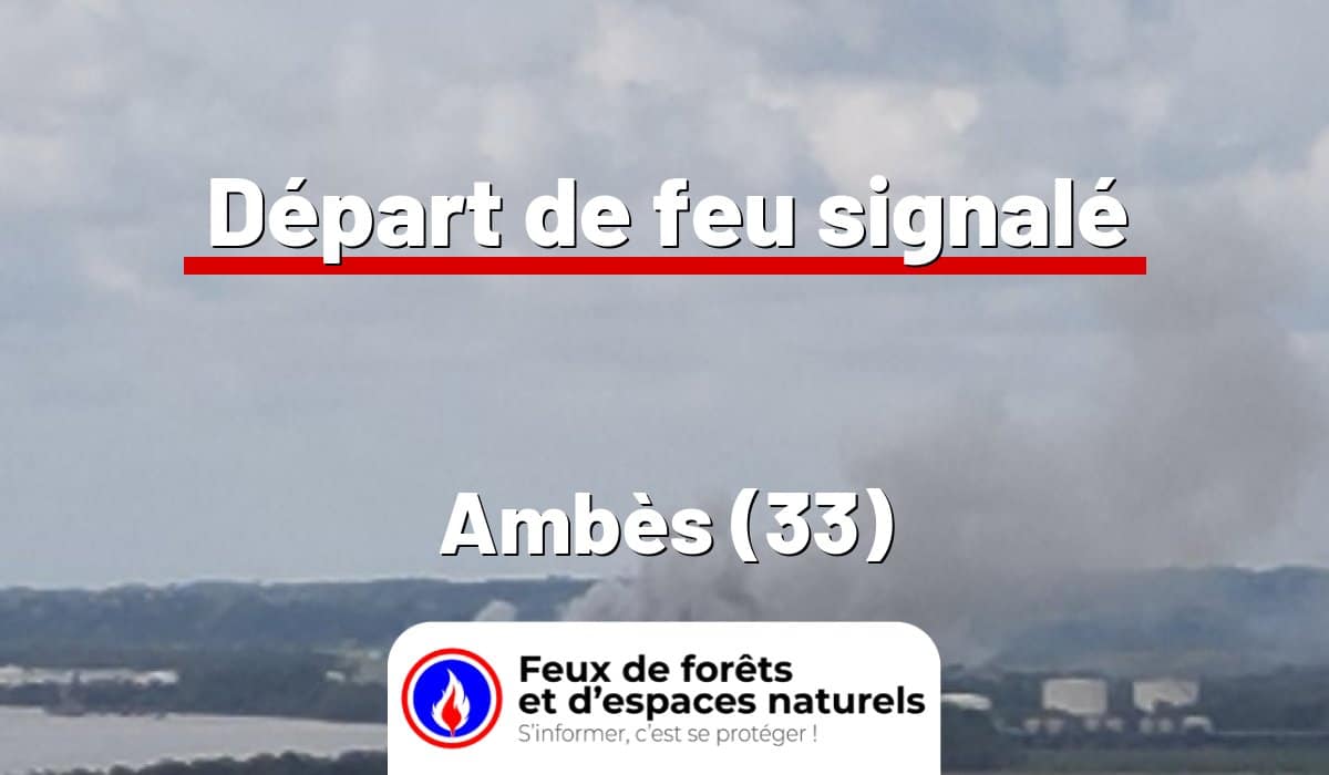Ambès (33)