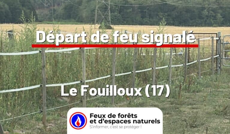 Le Fouilloux (17)