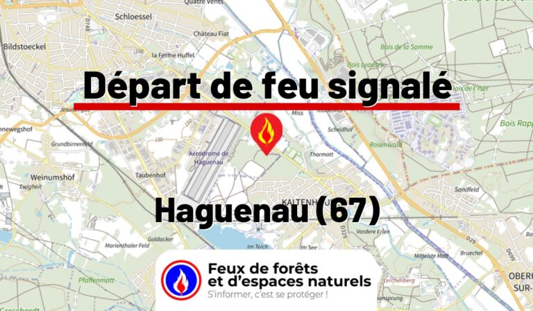 Haguenau (67)