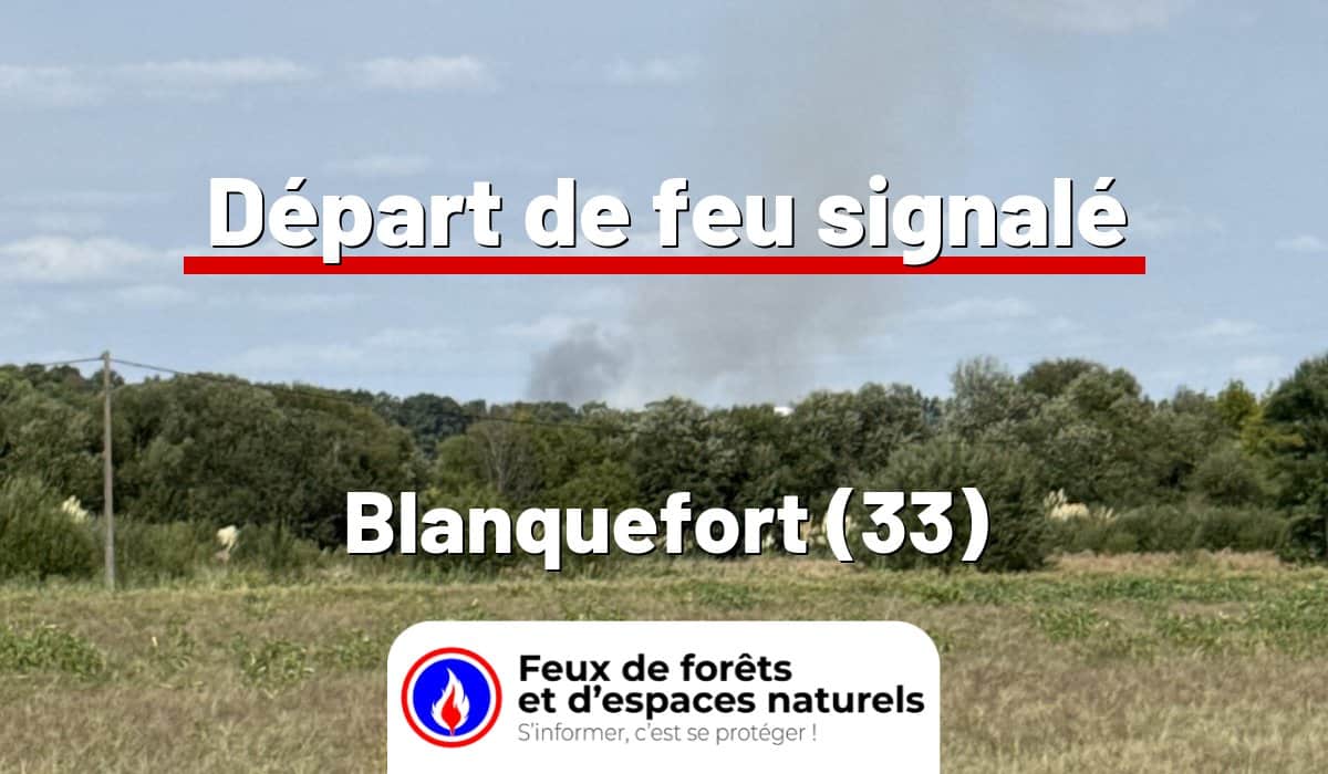 Blanquefort (33)
