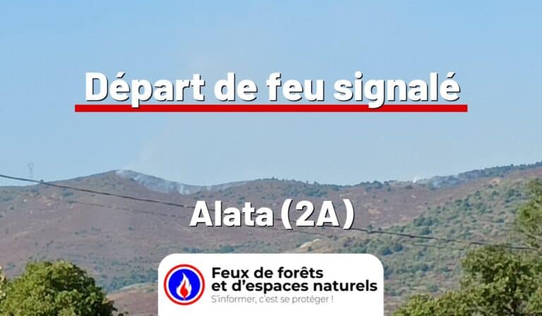 Alata (2A)