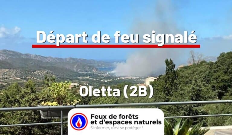 Oletta (2B)