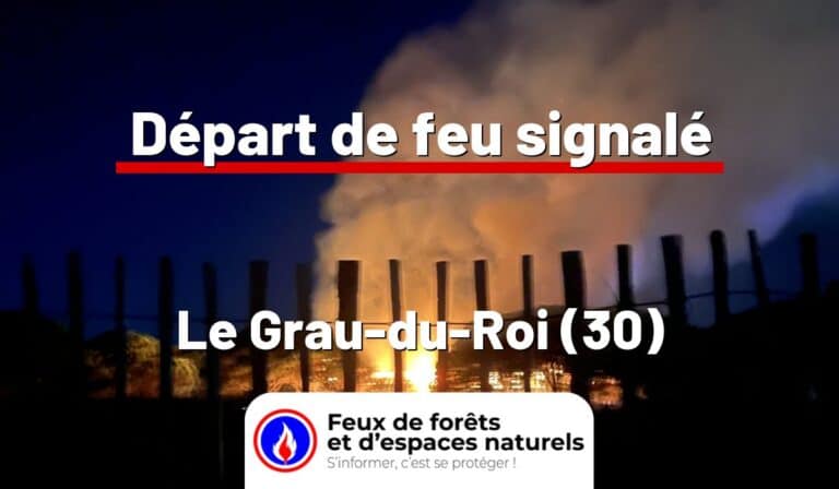 Le Grau-du-Roi (30)