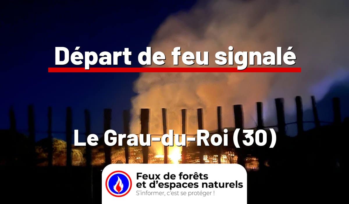 Le Grau-du-Roi (30)