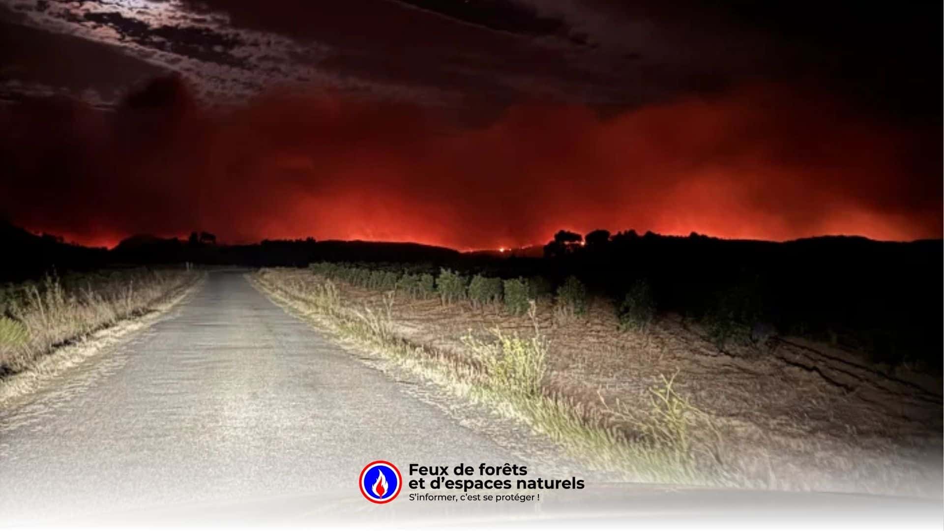Feu dans l’Aude : 1 mort, 11 100 hectares dévastés… le terrible bilan du plus grand incendie de l’été