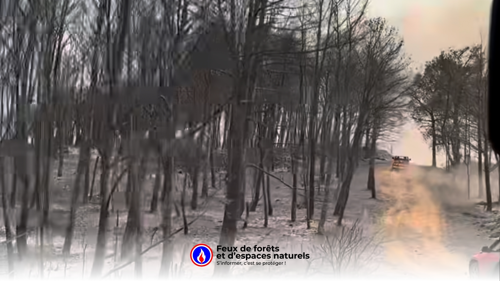 Incendie dans l’Aude : 13 000 hectares parcourus, 1 mort, 9 blessés – le point à midi
