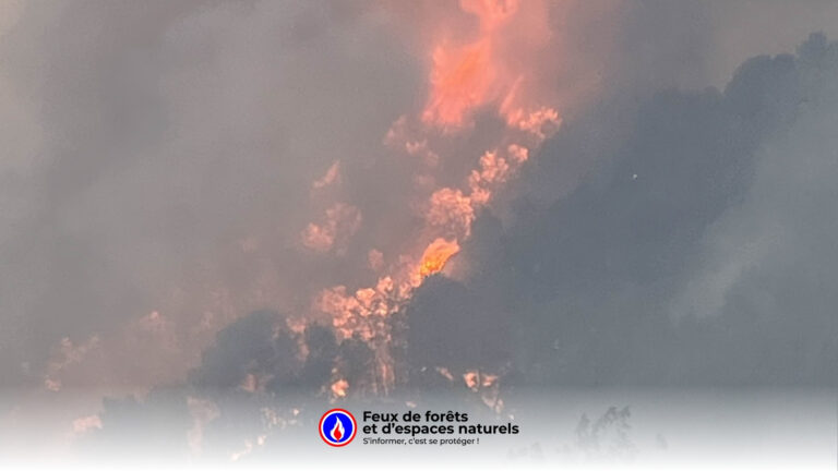 Incendie dans l’Aude : le feu est maîtrisé mais la vigilance reste maximale