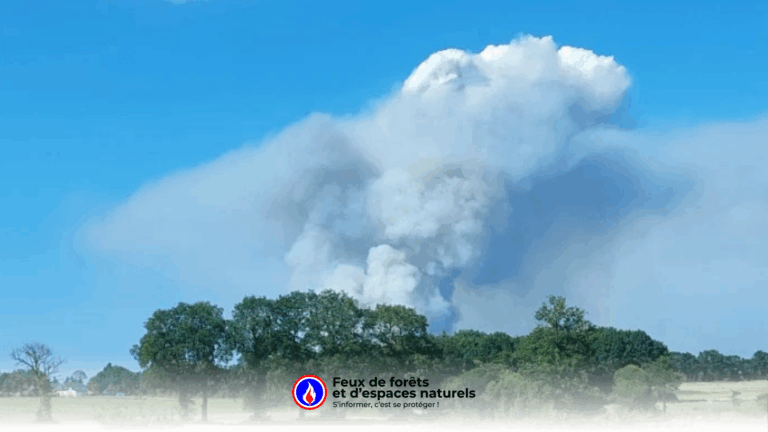 Incendies en Bretagne : un homme mis en examen après le feu dévastateur de Brocéliande
