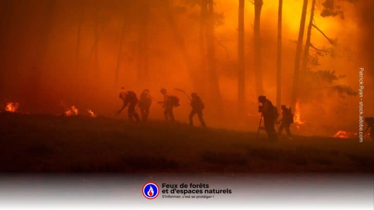 Portugal : un pompier décède en combattant les feux de forêt