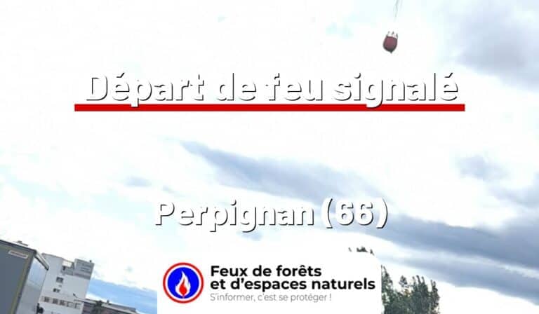 Perpignan (66)