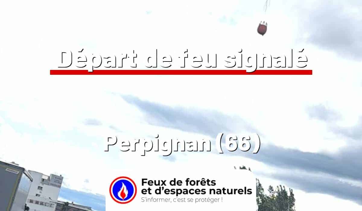 Perpignan (66)