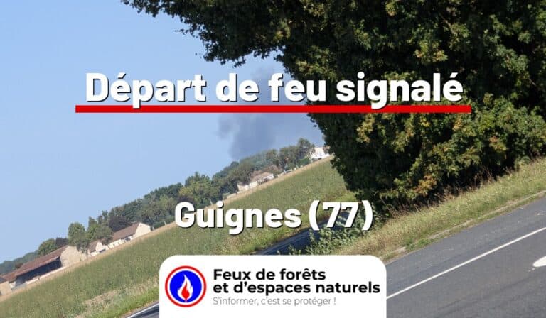 Guignes (77)