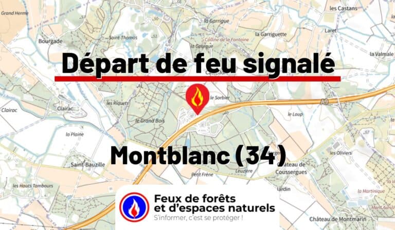 Montblanc (34)