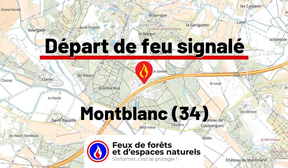 Montblanc (34)