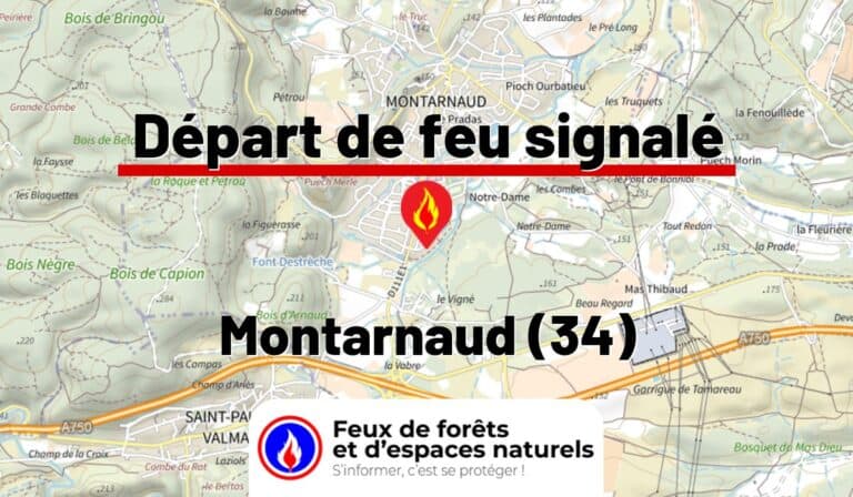 Montarnaud (34)