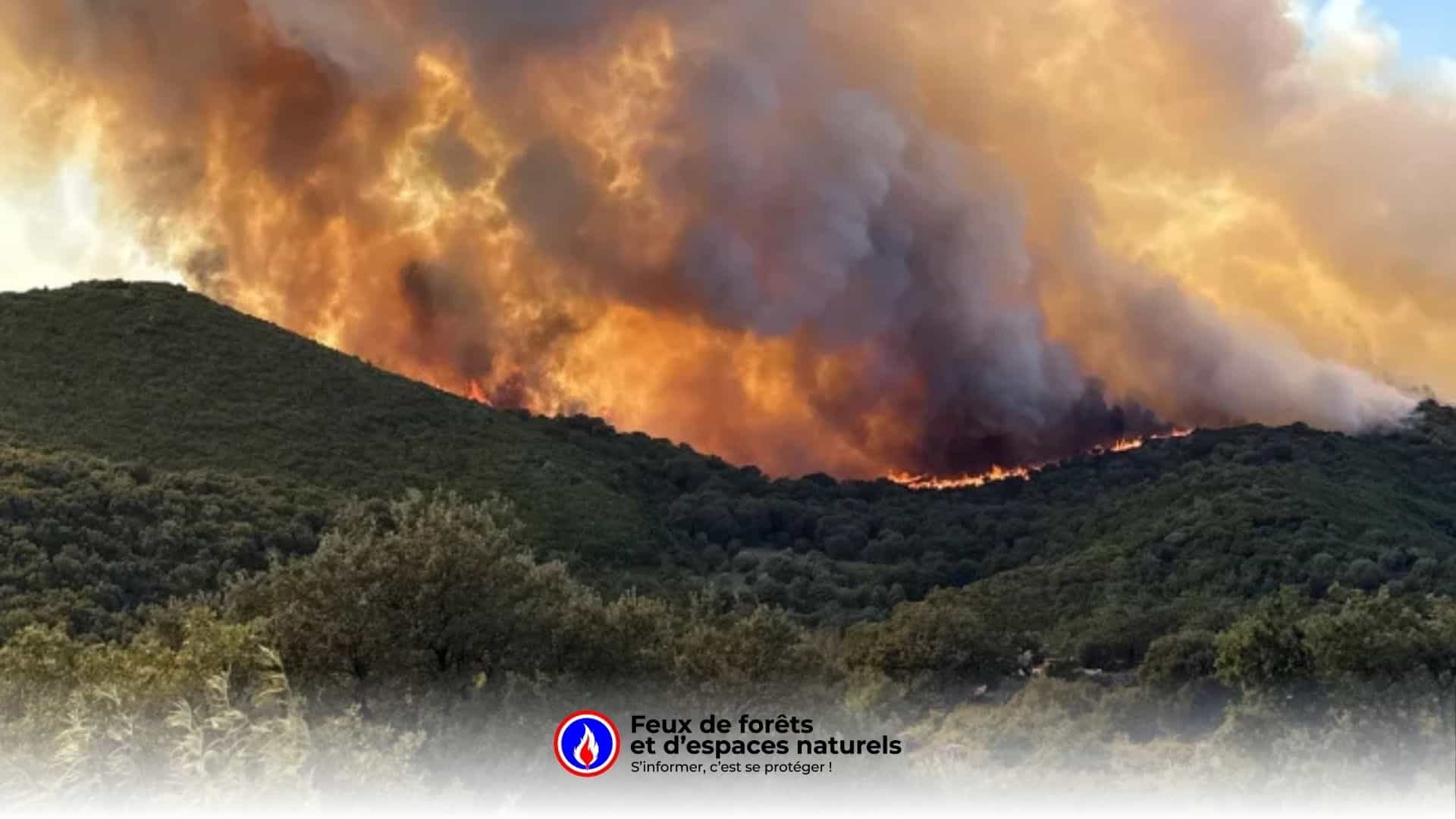 Haute-Corse : un feu en cours a déjà brûlé 200 hectares près de Saint-Florent et Oletta