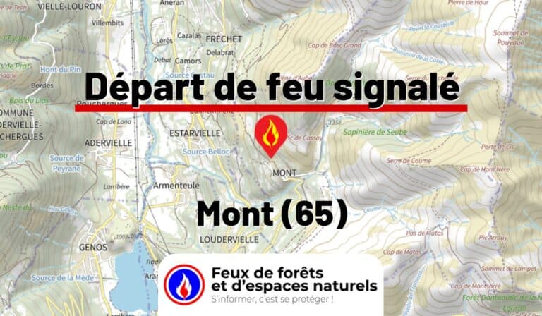 Mont (65)