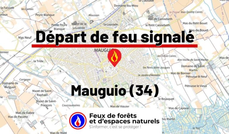 Mauguio (34)