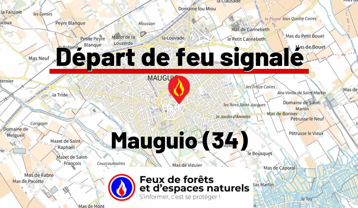 Mauguio (34)